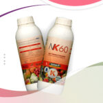 nk60 ایکس گرین